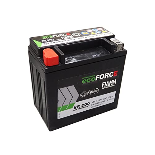 Amazon.co.jp: FIAMM [フィアム] 輸入車 サブ AGM バッテリー eco